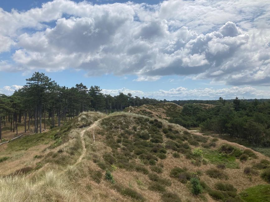Vue depuis la colline