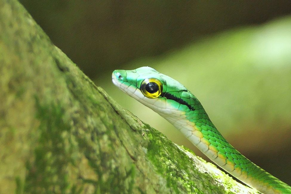 Costa Rica 2025