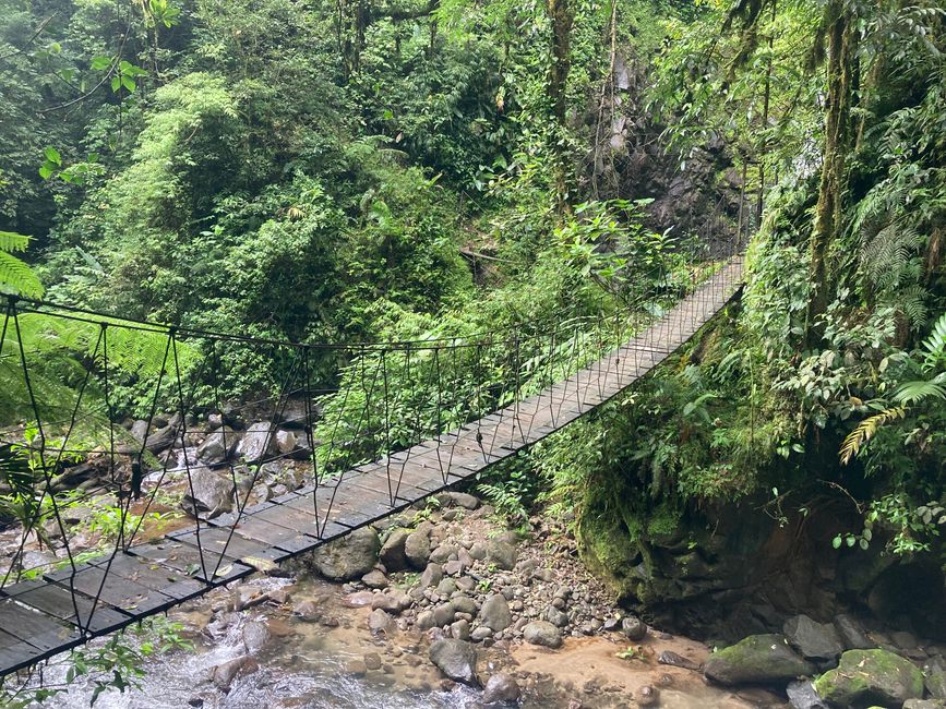 Monteverde