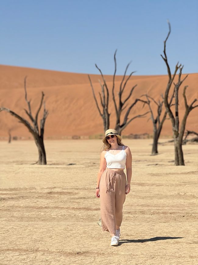 Namibia 2k25 🦓🏜️🐘