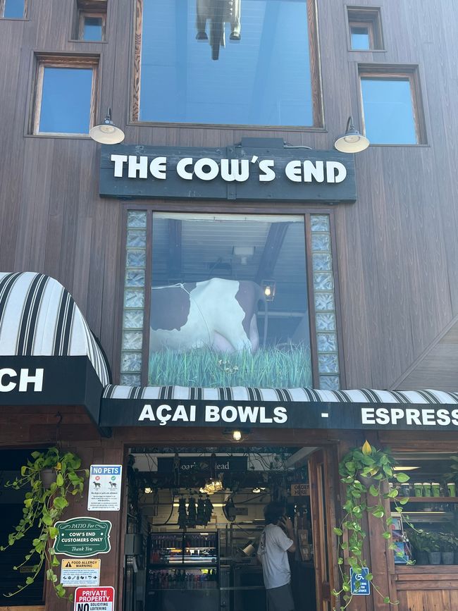 Am Venice Beach