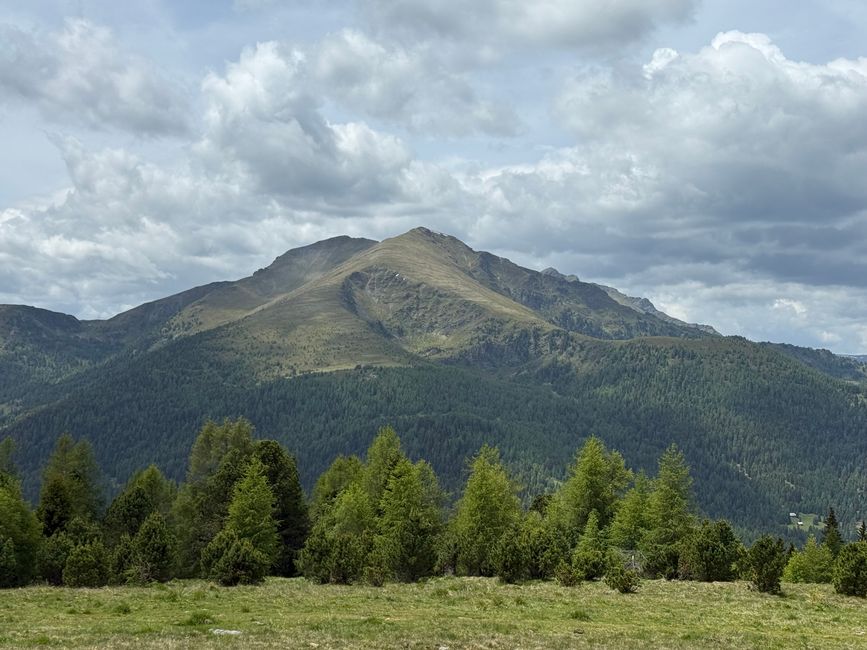 Hirnkopf