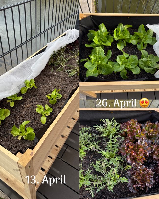 Neues Hobby 👩🏼🌾/ new hobby 👩🏼🌾