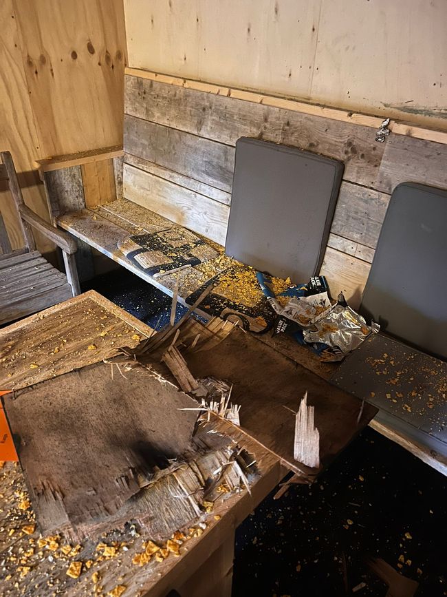 Tag 4: Reise nach Orlando