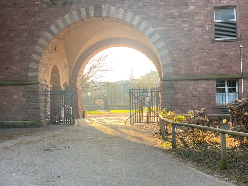 Die Sonne lockt hinein