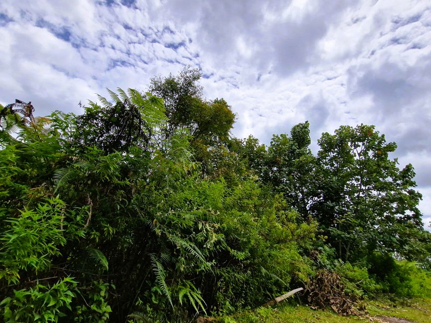 Horas, Danau Toba und ein Wiedersehen nach 34 Jahren