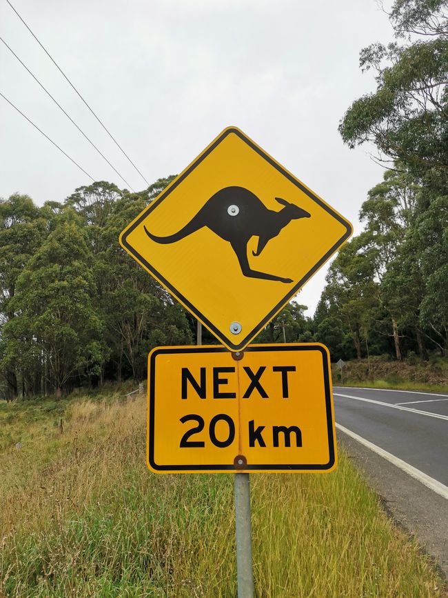 Adiós Australia
