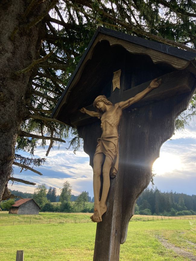 Zimmer (Mord) mit Aussicht