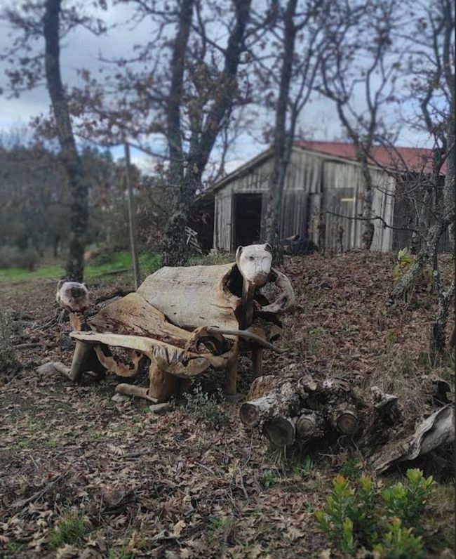 Kunst aus Holz