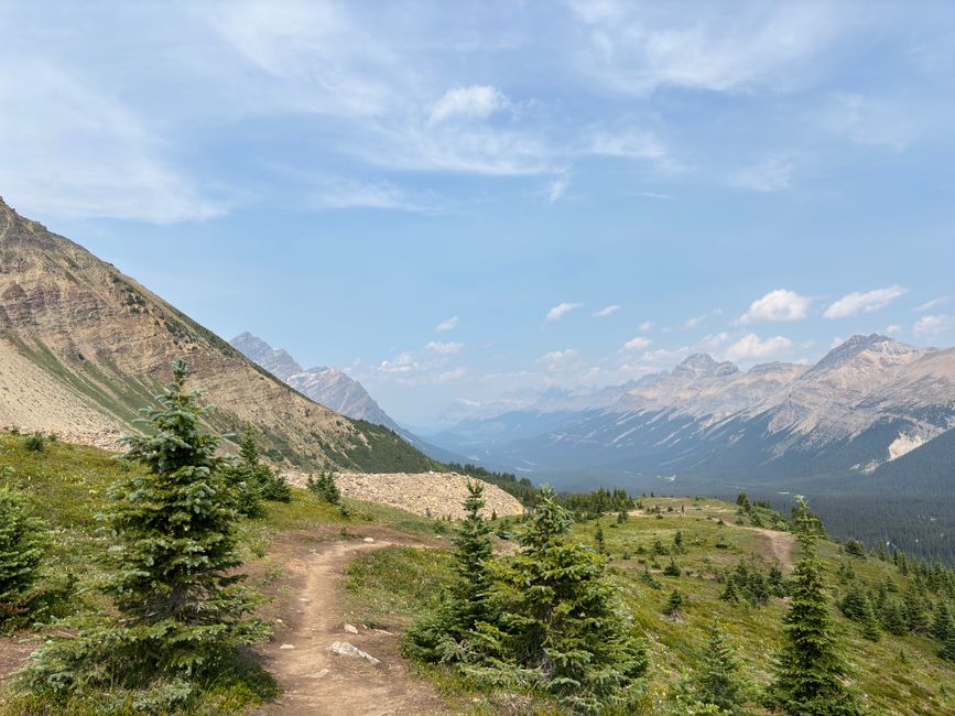 Bow Summit Lookout