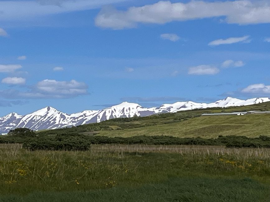 Dalvik