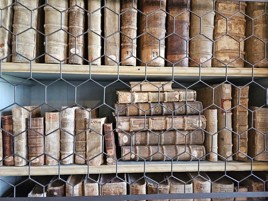 2026 - Mai - Kloster Wiblingen mit Bibliothekssaal