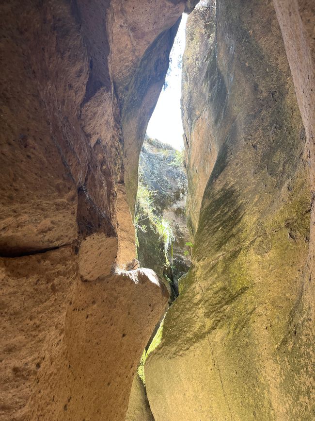 Tag 8
Qorihuilca Canyon und auf dem Markt einkaufen