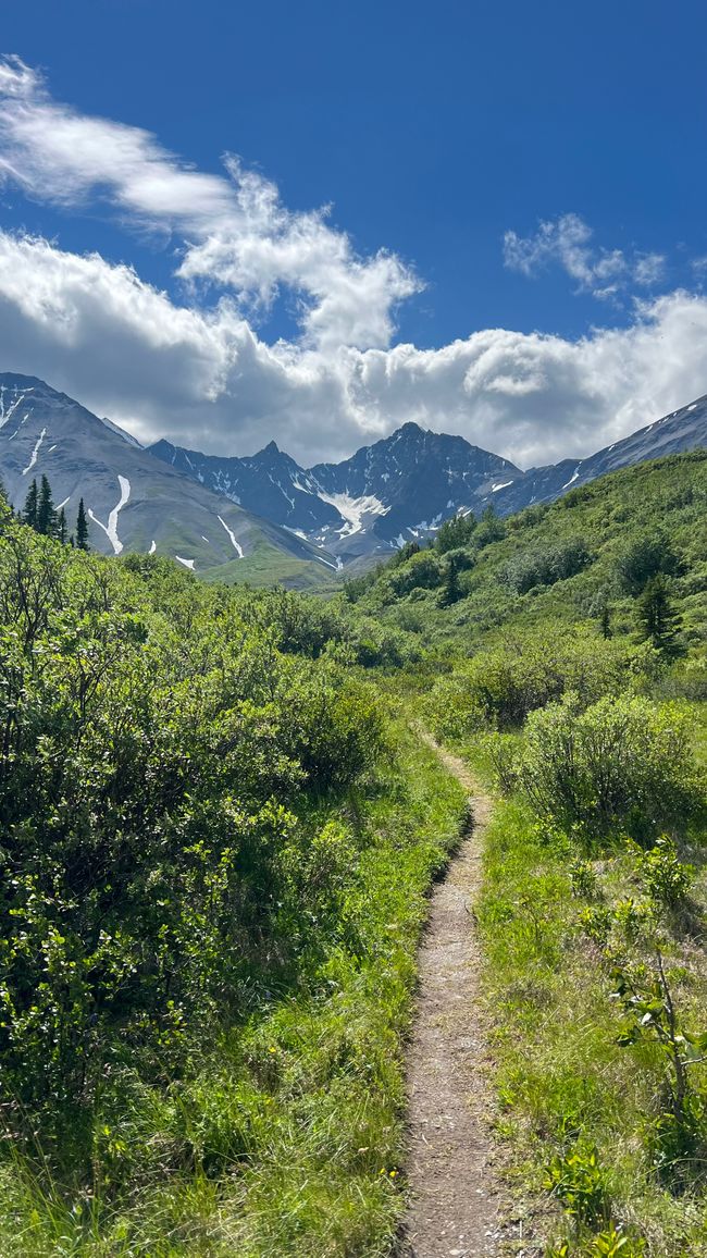 Auriol Trail
