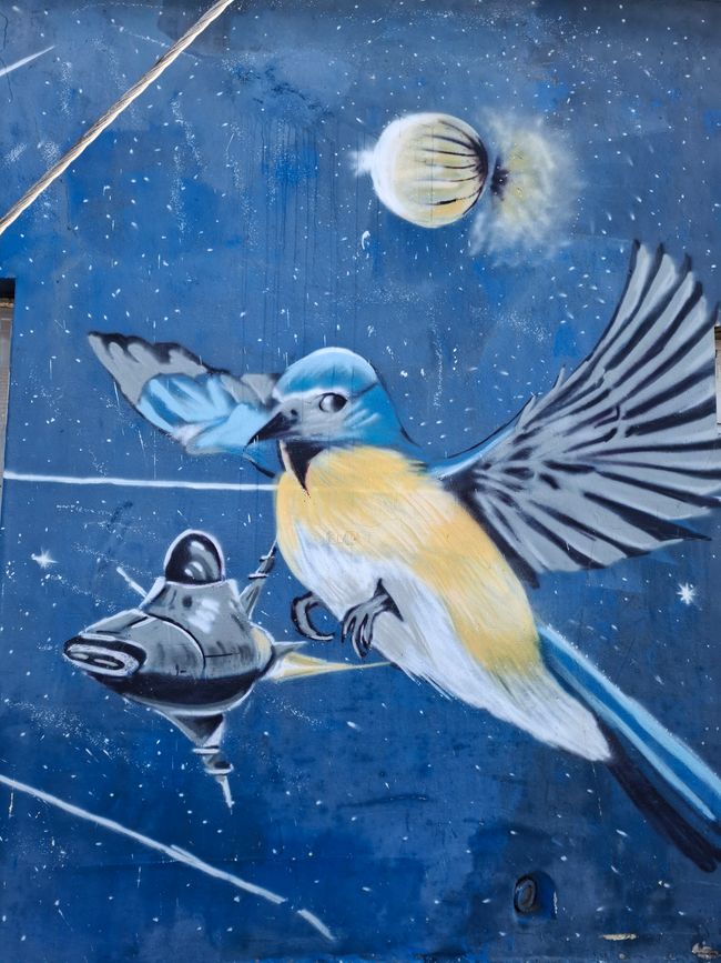 Descubrimiento del arte (y comida) de Salt River
