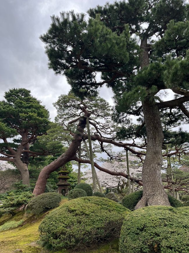 Kenrokuen Garten