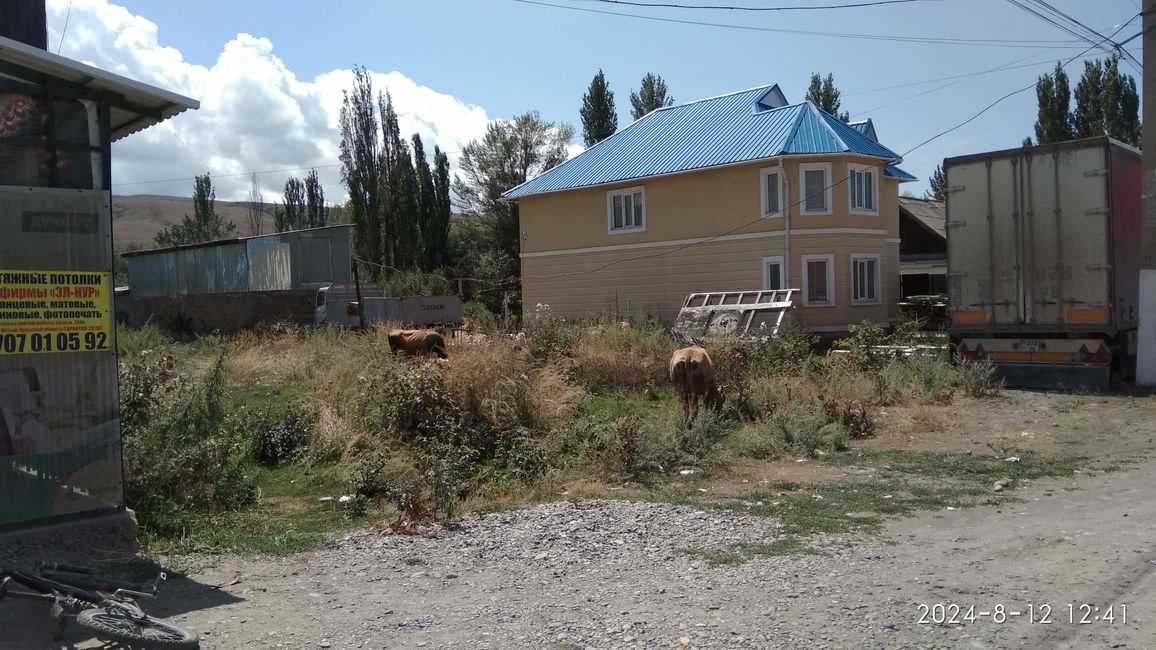 47. Etapa 'Karakol, Issyk Kul'