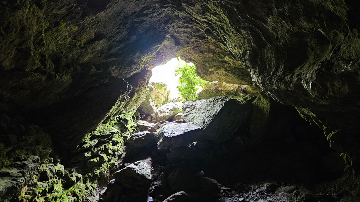 Clifden - Monkey Island - Riverton - Invercargill - Nugget Point