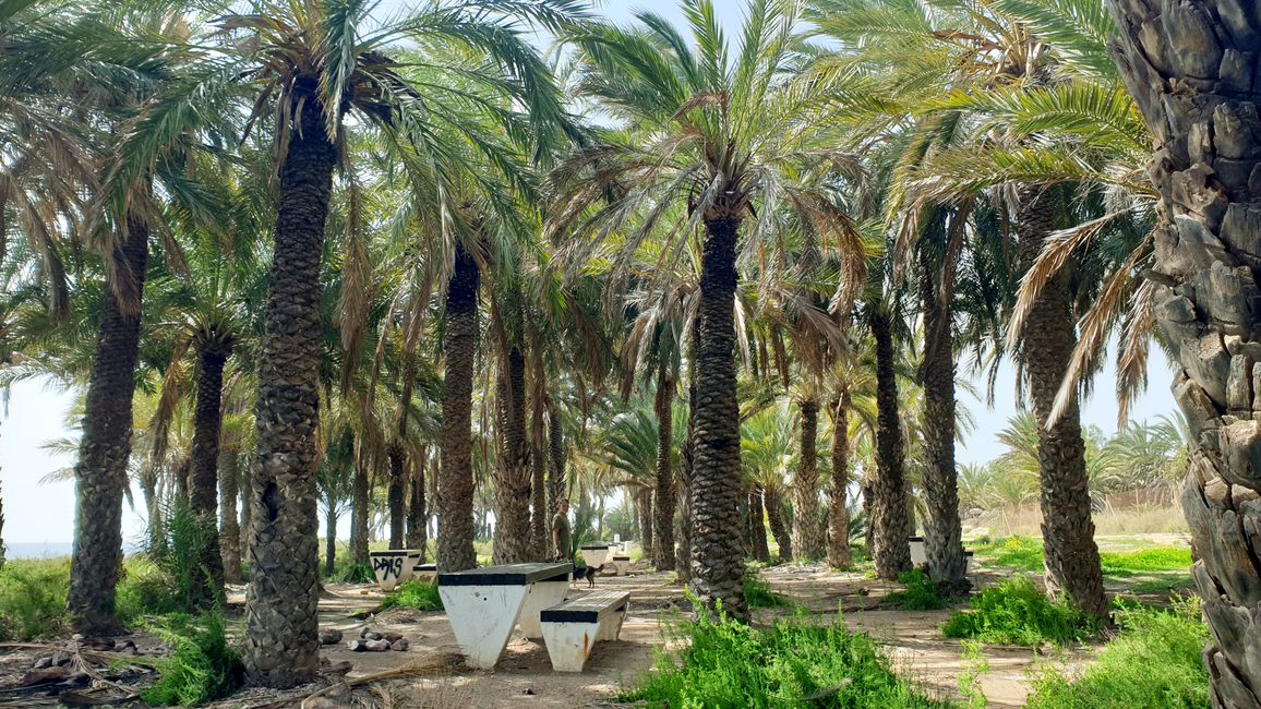 Alicante?...no grazie 609