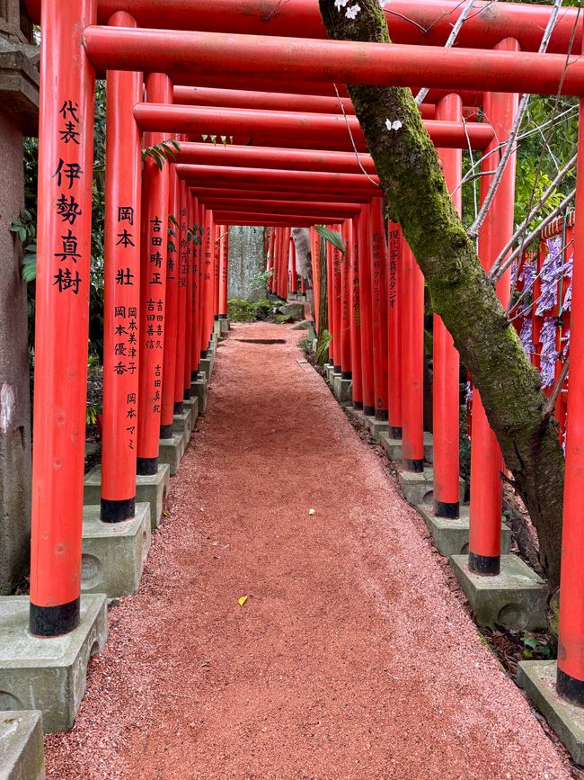 Part 8 Japan 🇯🇵 Kanazawa