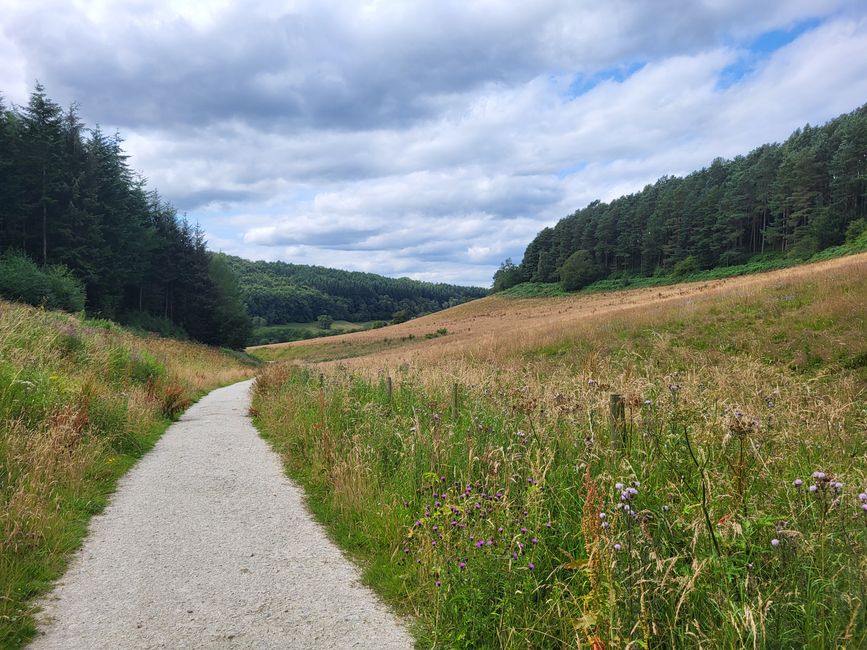 Sneverdale Rigg Rabbit Run