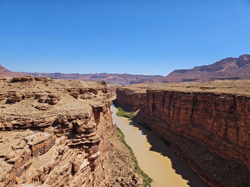 Colorado  River 