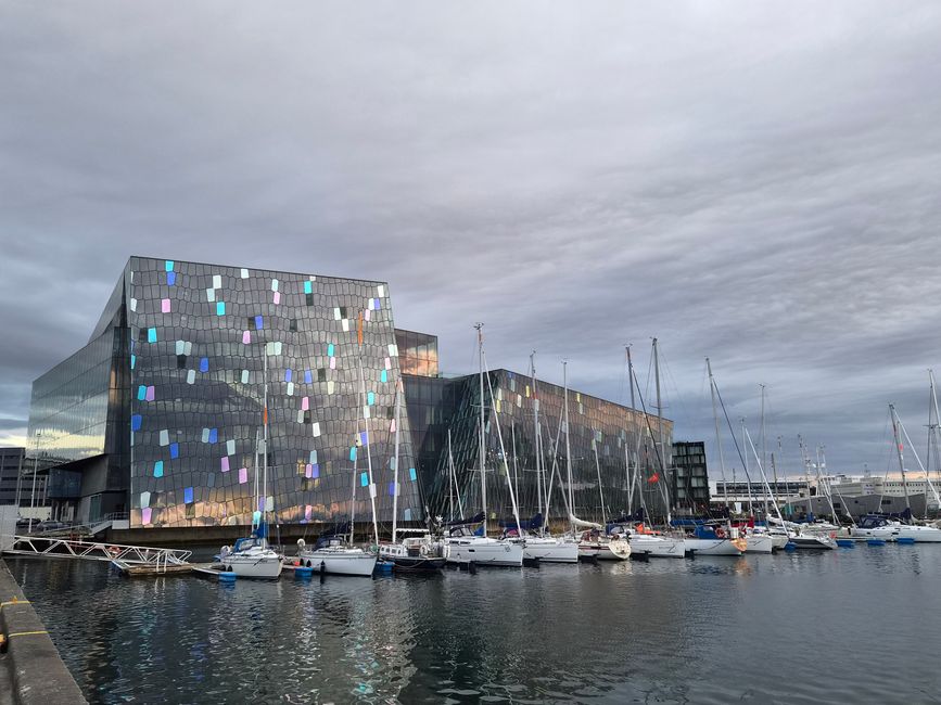 Forleikur inn Reykjavík😎