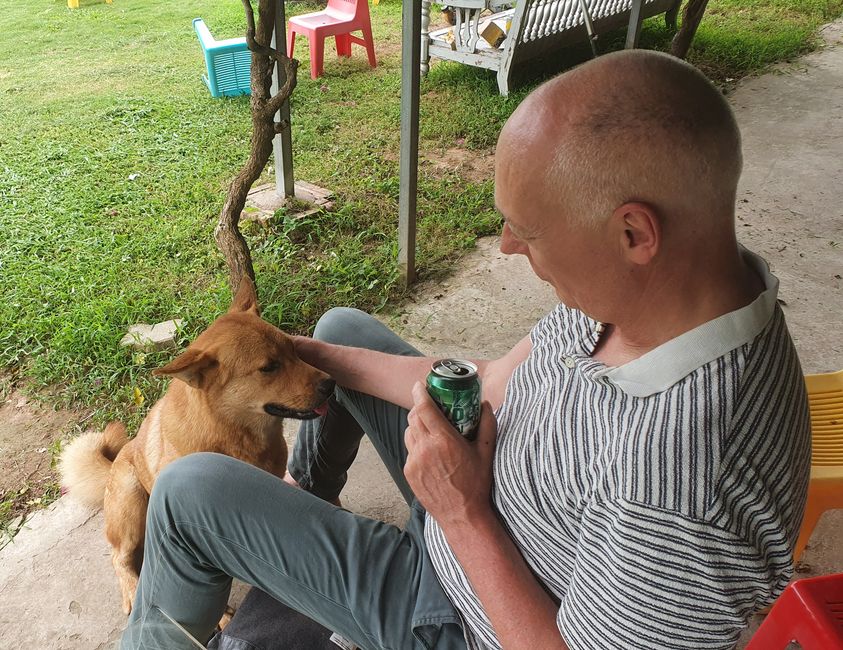 Ich brauch keinen Grund, nur ein Bier und nen Hund