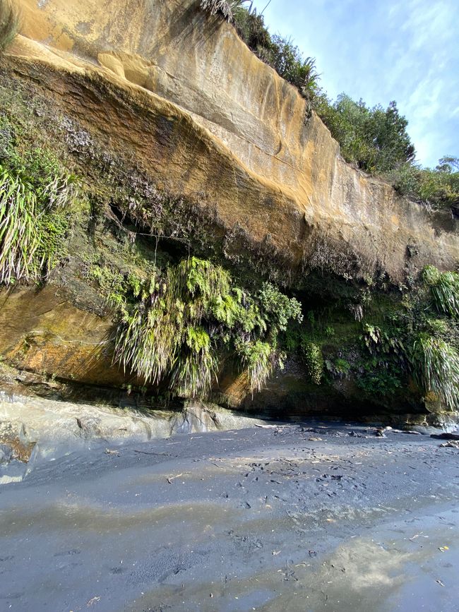 Here, water is everywhere at high tide