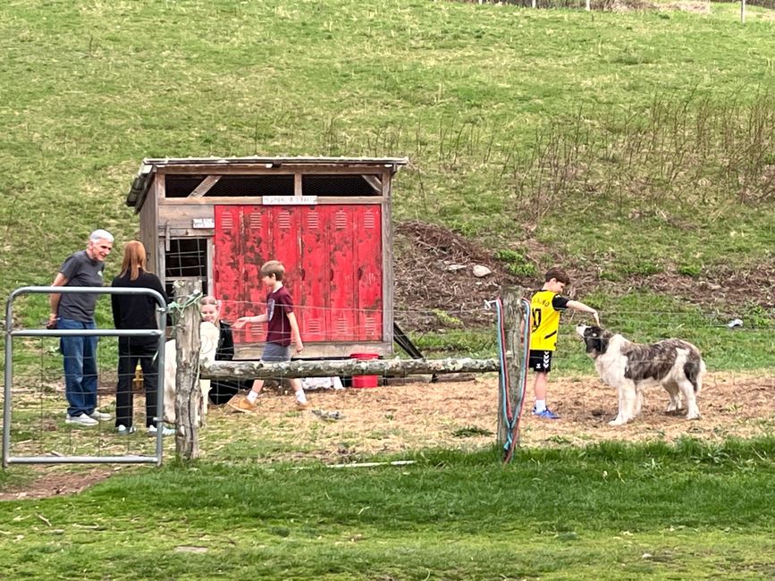 Freitag: Ausflug nach Woodstock und Abschiedsfest
