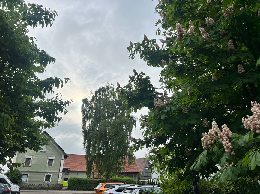 42 nach Bregenz 