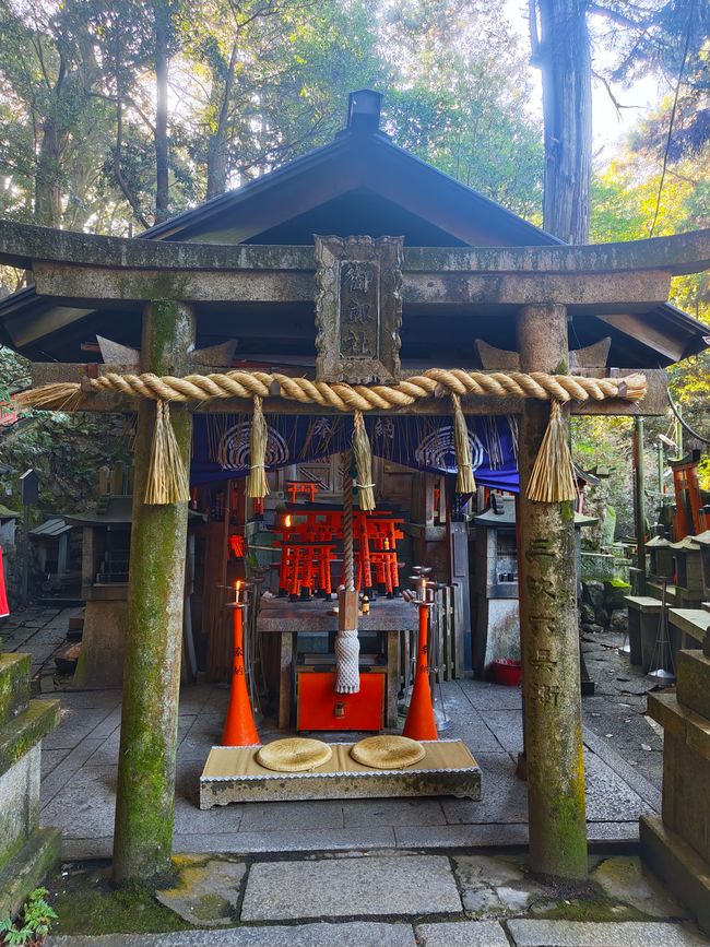 Over 10,000 Torii, I mean gates