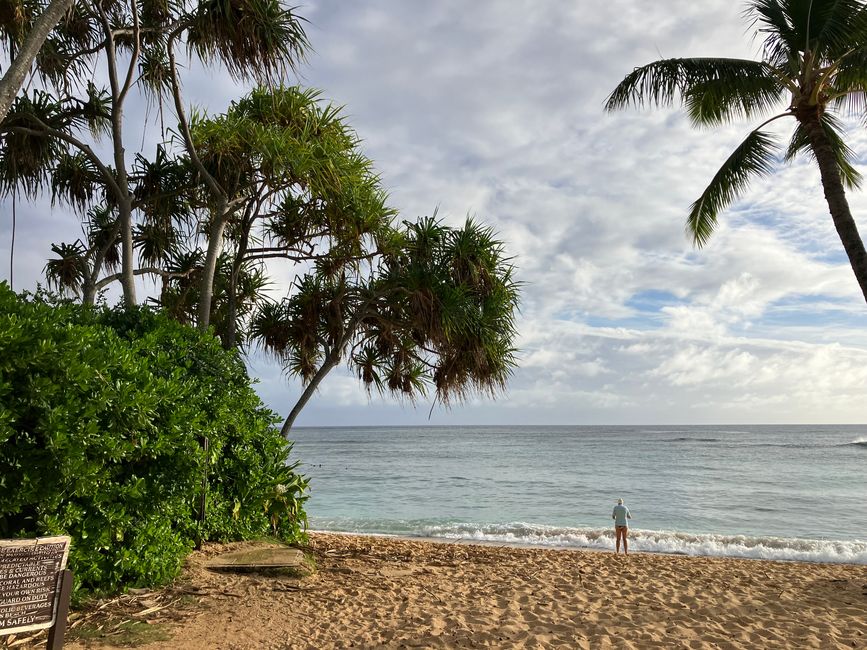 D18 - 7am Yoga with Norbi and Poipu beach with monk seals, sea turtles and Humuhumunukunukuapua‘a