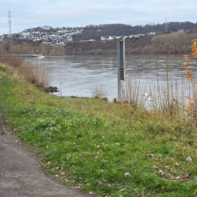 Rhein bei Koblenz, Deutsches Eck