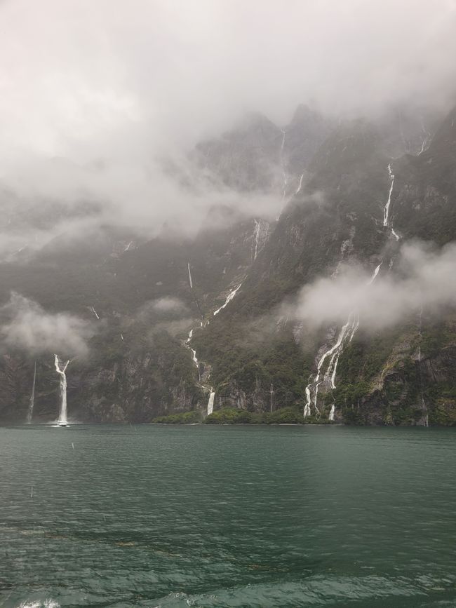 Tag 87 von 175: Kreuzfahrt rund um die Welt - Kreuzen im Milford Sound/Neuseeland