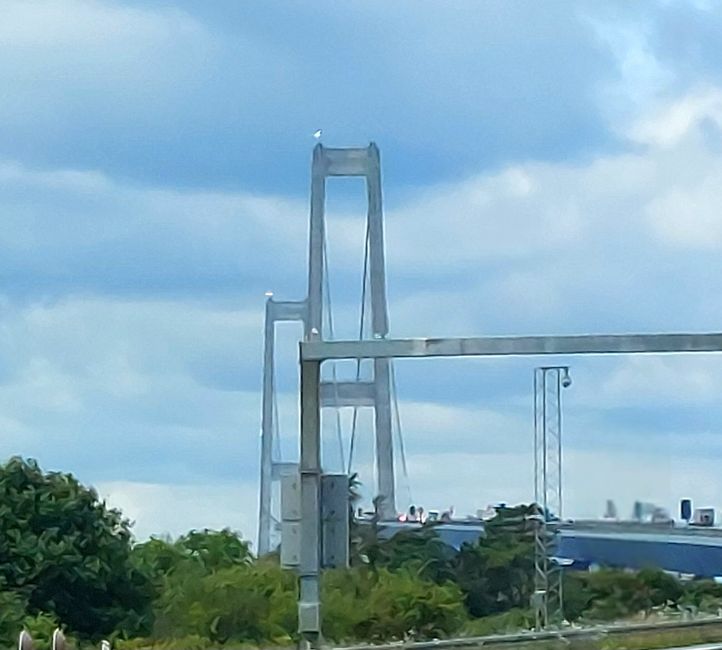 Storebæltsbroen