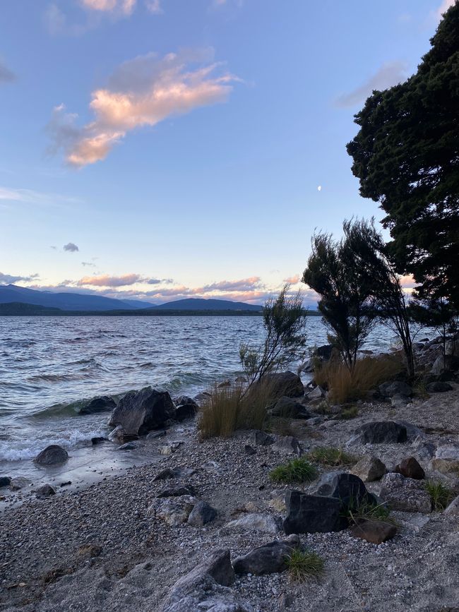 View of the fjords - Manapouri Lake