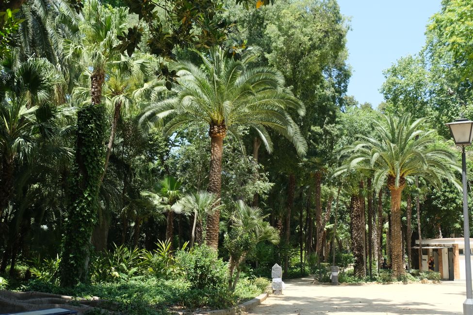 Parc de Maria Luisa