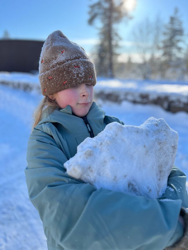 The finnish way