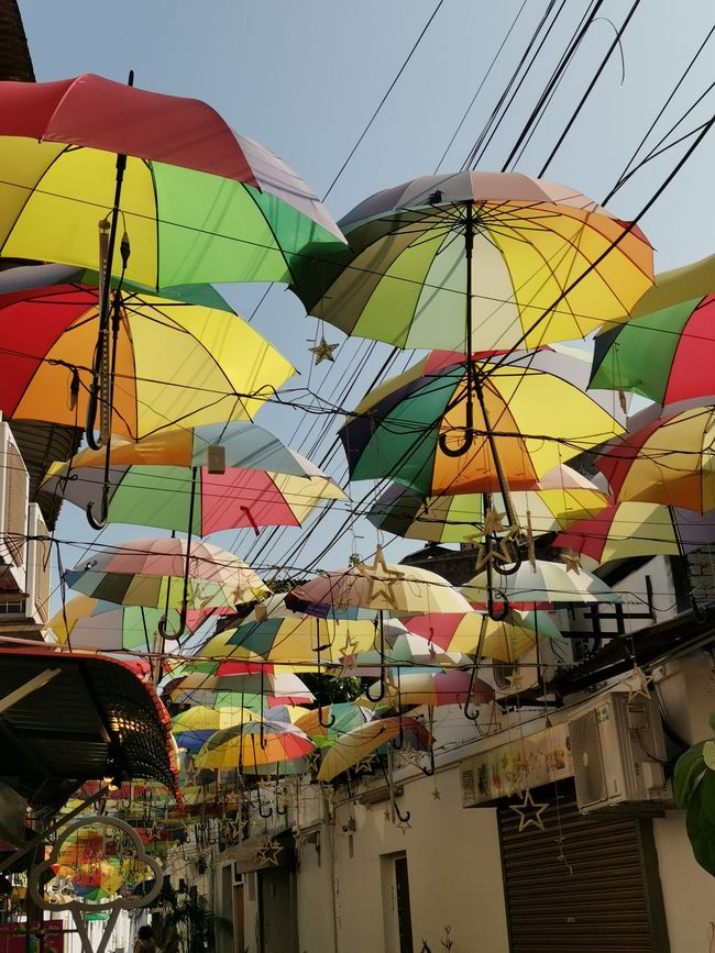 Cameron Highlands und George Town - Teeplantagen und Straßenkunst