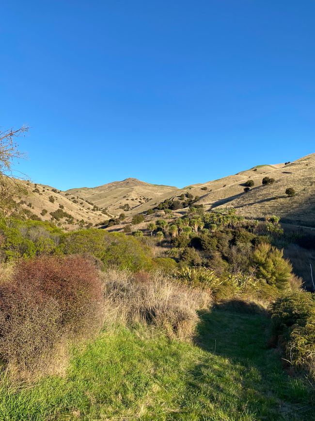Nelson, Queen Charlotte drive, Picton, Kaikoura, Blenheim