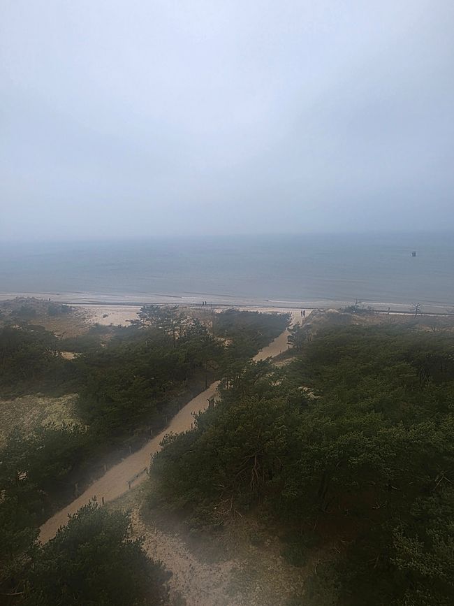 Stralsund & Darß: Meeres-Magie und die 5-km-Wander-Überraschung 🌊🐢❄️