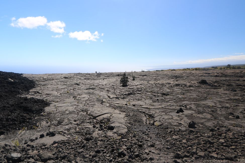 Wir besuchen den Kilauea Vulkan