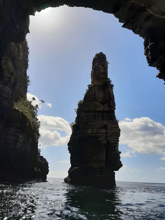 - Singapur & Tasmania 2019 -