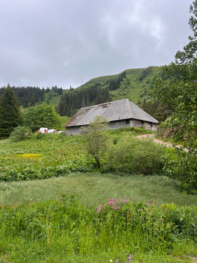 26 Feldbergsteig Escursione Pro Wolermoos