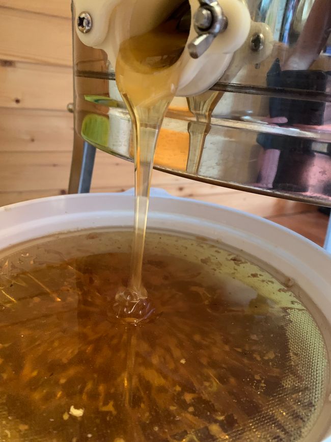 Cosecha de miel