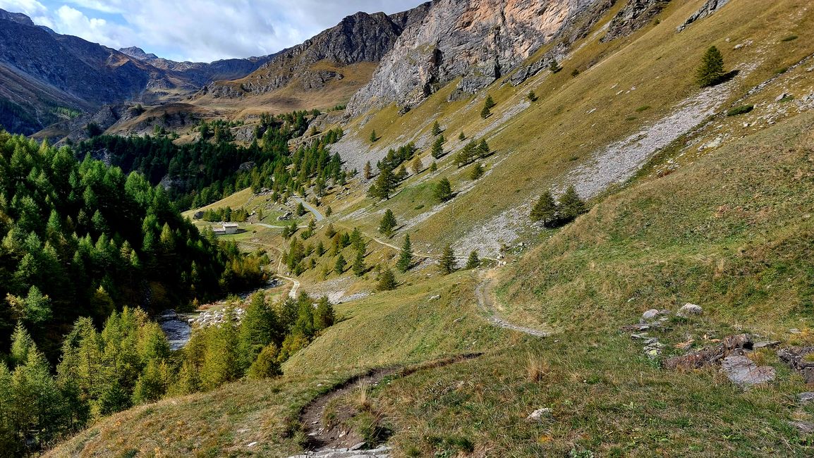 die Baumgrenze ist erreicht