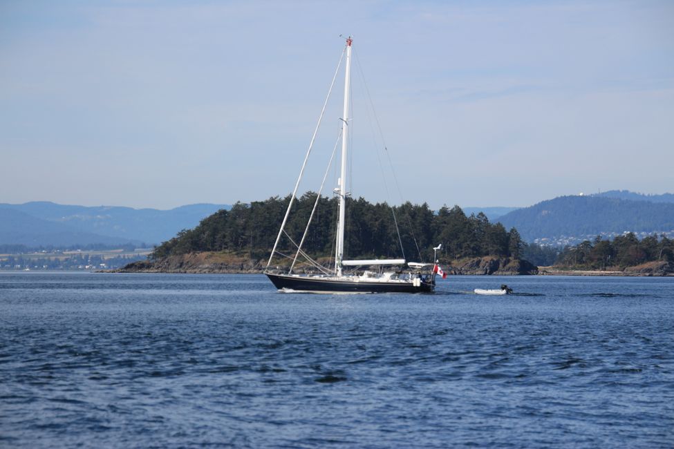 Observación de ballenas Eagle Wing