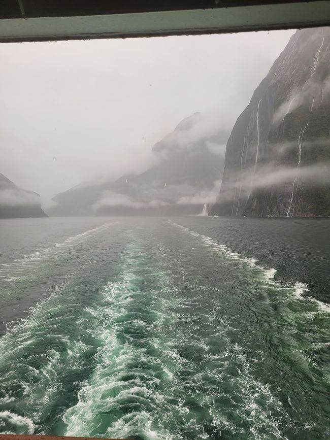 Tag 87 von 175: Kreuzfahrt rund um die Welt - Kreuzen im Milford Sound/Neuseeland