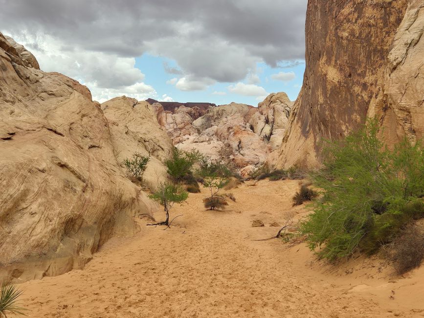 White Domes Trail